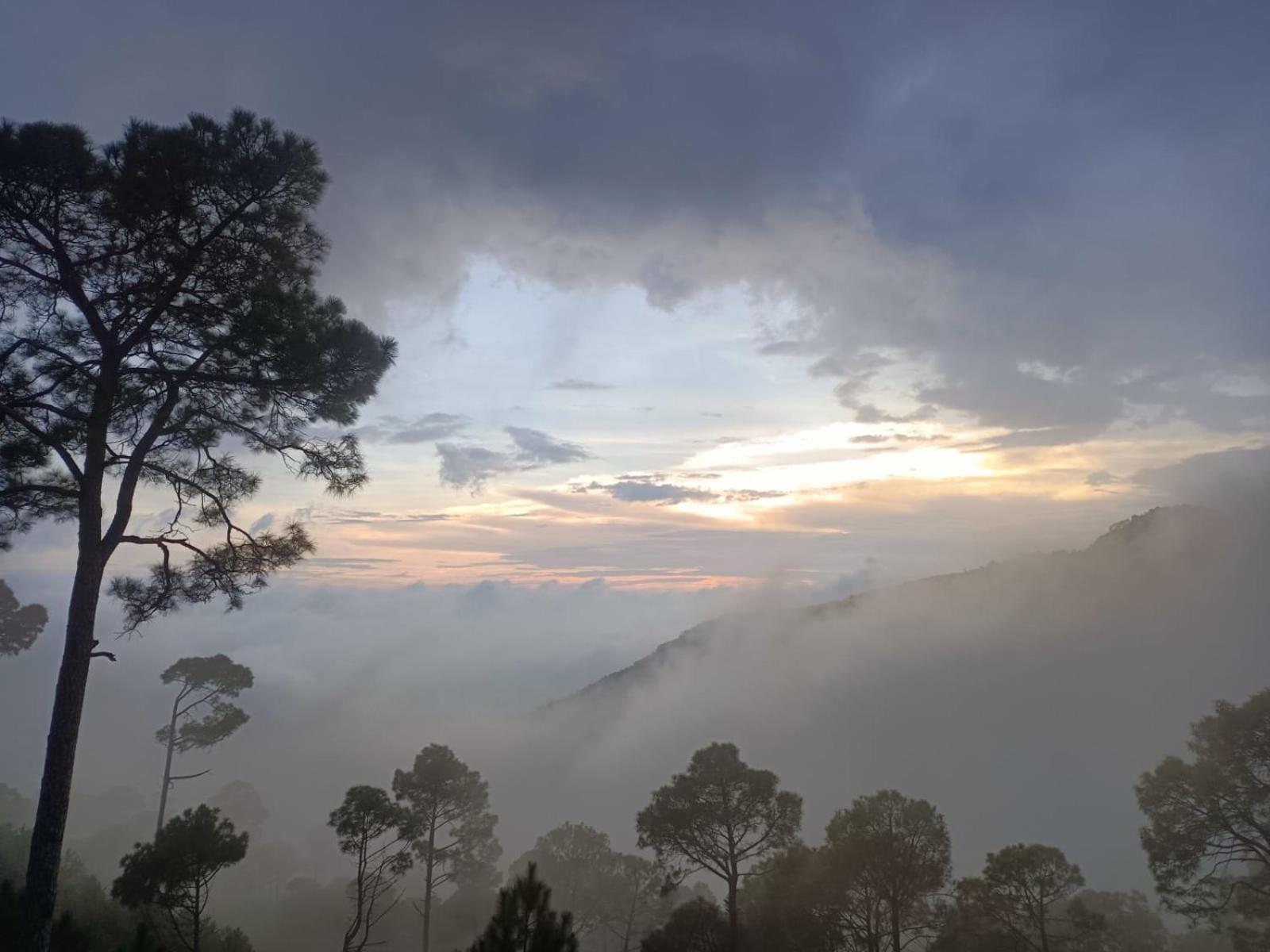 Apartment The Western Heights: Peaceful Family With Private Balconies Kasauli